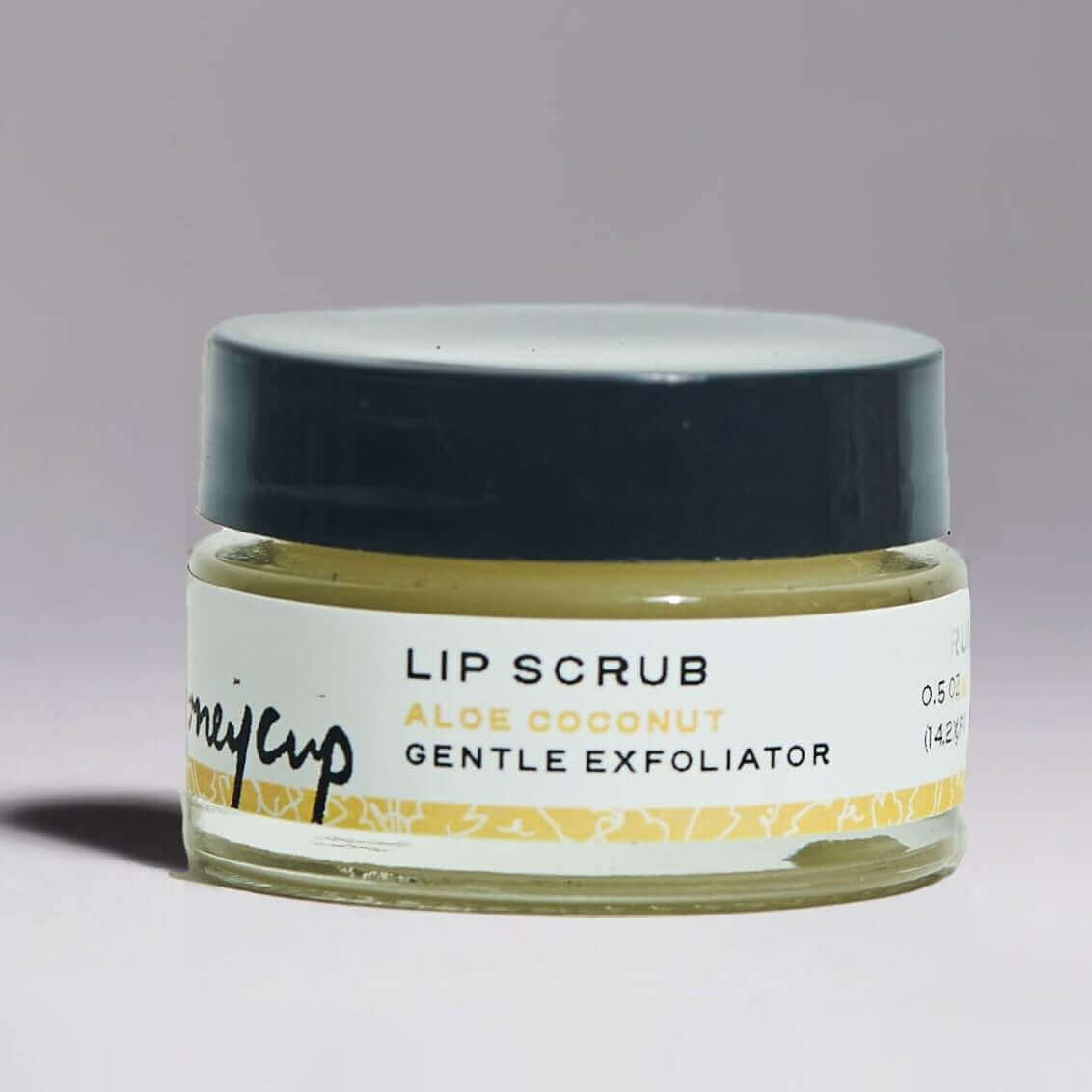Aloe Coconut Lip Scrub to Exfoliate Lips
