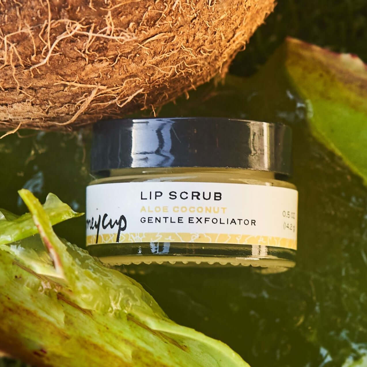 Seasonal Collection featuring aloe coconut lip scrub with fresh aloe and coconuts