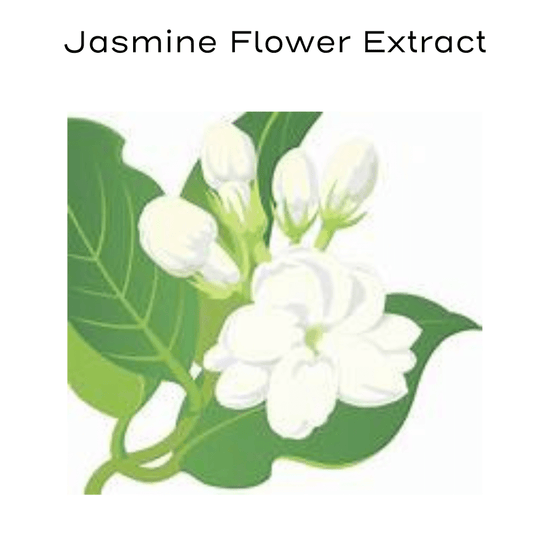 jasmine flower painting