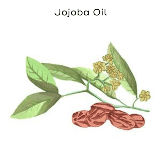 jojoba painting