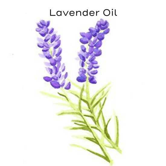 lavender painting