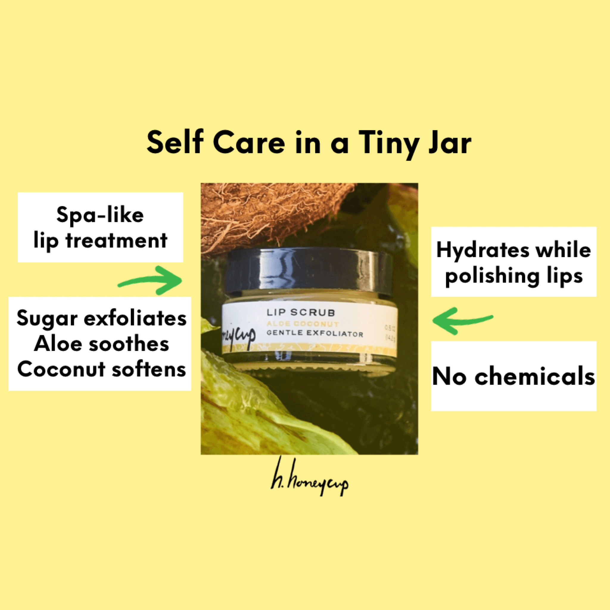 Lip Scrub benefits infogram