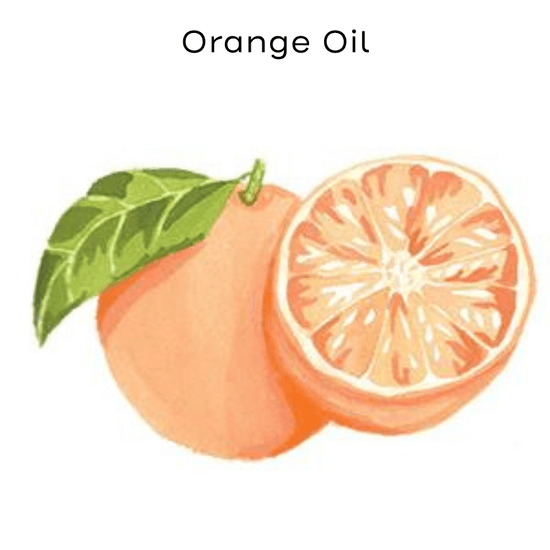 orange oil painting