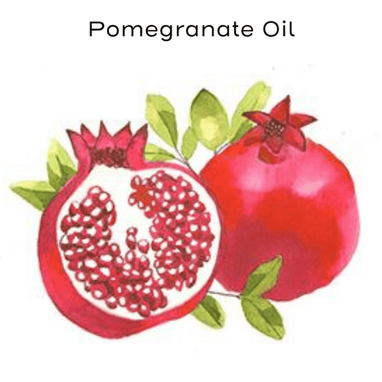 pomegranate painting