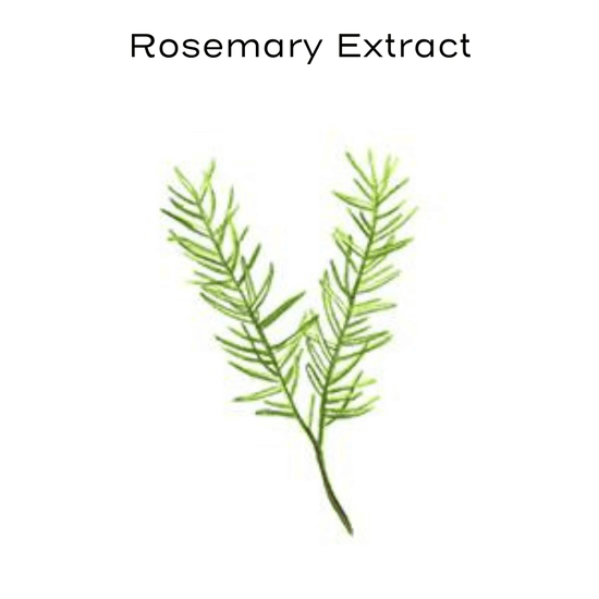 rosemary painting