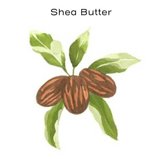 shea butter painting