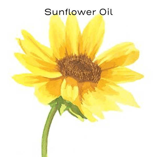 Sunflower painting