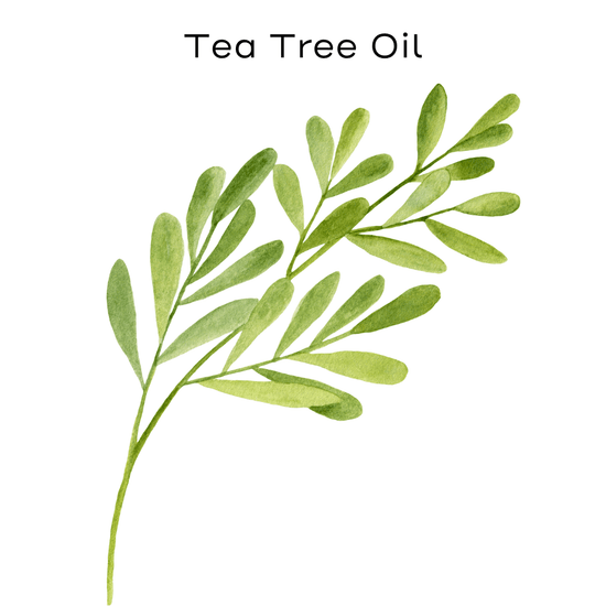 tea tree painting