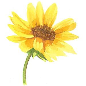 files/painted-sunflower_14cac9b2-0b3e-4621-a1c1-b588acbd63c1.webp